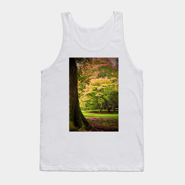 Autumn Acer Tree Westonbirt Arboretum Cotswolds Gloucestershire Tank Top by AndyEvansPhotos